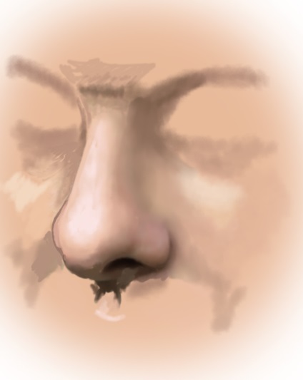 Desenarea nasului unei persoane - tutoriale Adobe Photoshop