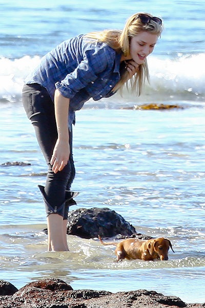 Rosie Huntington-Whiteley și Jason Statham la plimbare cu favoritele de animale de companie, o bârfă