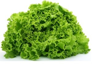 Salata verde pe fereastra verde utile în orice moment al anului