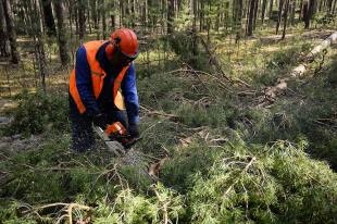 Serghei Donsky cu braconierii au organizat o luptă eficientă - ziarul rus