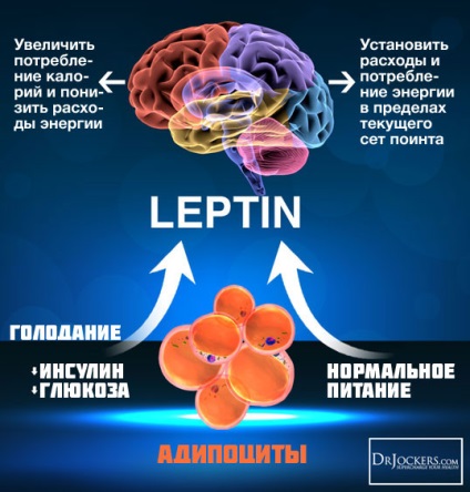 Seth Point date științifice și aplicarea practică a teoriei