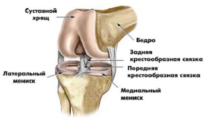 Synovitis a térd tünetek és a kezelés