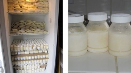 Cât timp este depozitat laptele în pieptul expus la frigider, capră deschisă, așa cum este corect