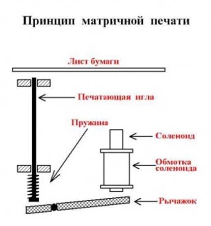 Componente imprimante matrice