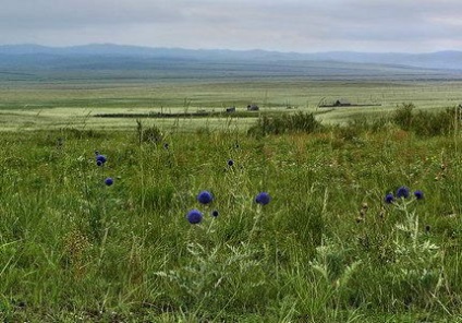 Stepiurile Rusiei