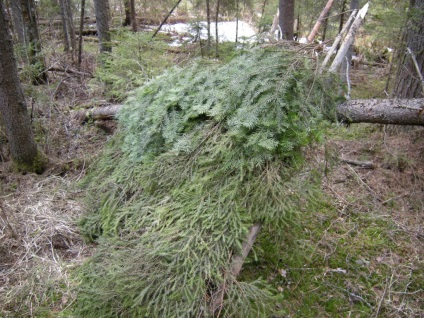 Construirea unei cabane în pădure - supraviețuire în condiții sălbatice și extreme