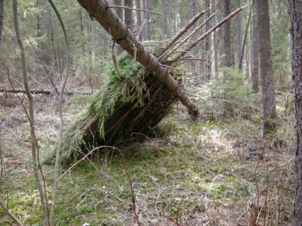 Construirea unei cabane în pădure - supraviețuire în condiții sălbatice și extreme