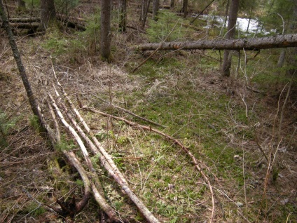 Construirea unei cabane în pădure - supraviețuire în condiții sălbatice și extreme