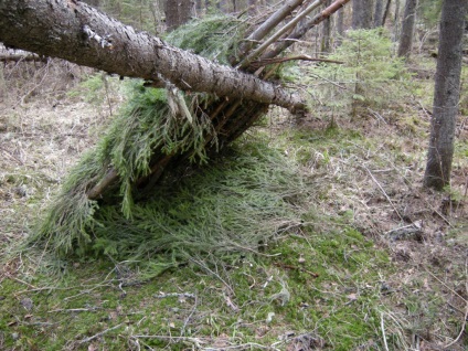 Construirea unei cabane în pădure - supraviețuire în condiții sălbatice și extreme