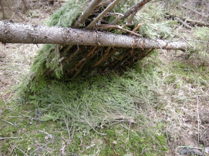 Construirea unei cabane în pădure - supraviețuire în condiții sălbatice și extreme