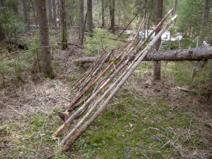 Construirea unei cabane în pădure - supraviețuire în condiții sălbatice și extreme