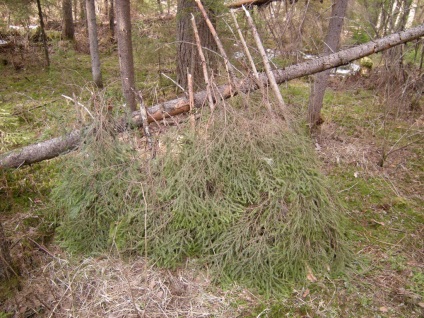 Construirea unei cabane în pădure - supraviețuire în condiții sălbatice și extreme