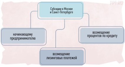 Subvenții pentru întreprinderile mici cum să obțineți și ce să așteptați