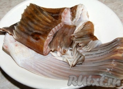 Shrimp supa de rechin - reteta cu fotografie