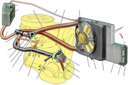 Circuitul circulației lichidului de răcire în mașină