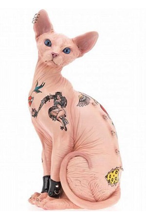 Cat Tatuaje ❤ Stiri