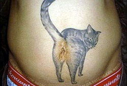 Tetoválás macska ❤ hírek