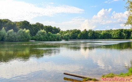 Parcul forestier Terletsky - plimbări la Moscova, parcuri