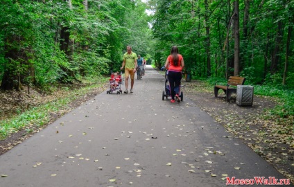 Parcul forestier Terletsky - plimbări la Moscova, parcuri