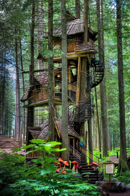 Vrei să trăiești aici în cele mai frumoase 10 case din copaci