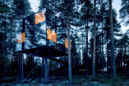 Vrei să trăiești aici în cele mai frumoase 10 case din copaci