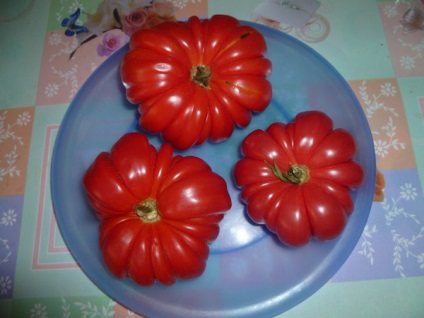 Tomate de coș de soi - ciuperci