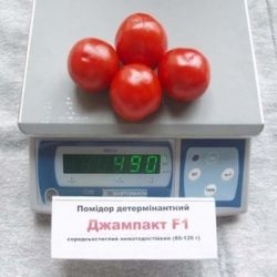 Tomato Linda prețul f1 al ucrainei