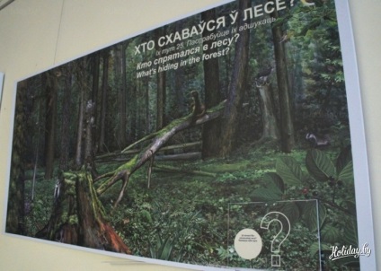 Top 7 ok, hogy látogassa Berezinsky Bioszféra Rezervátum - utazási blog többi Fehéroroszországban