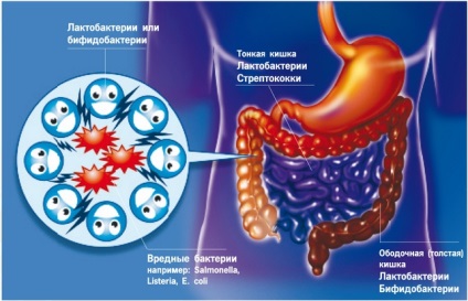 Ierusalimul și diabetul zaharat, presiunea, diabetul, dieta, anghinarea din Ierusalim