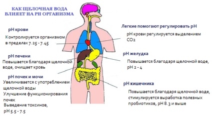 Uglanov în