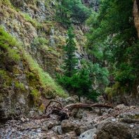 Gorge imbris, Creta - ghid pentru insula Creta, Grecia - Heraklion