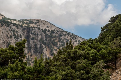 Cheile Imbros pe insula greacă din Creta