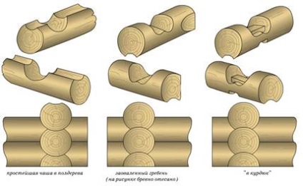 Structura jurnalului