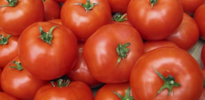Cultivarea de tomate de legume idei de afaceri de creștere