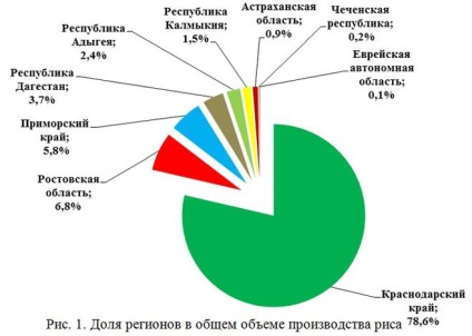 În care regiuni din Rusia se cultivă orez