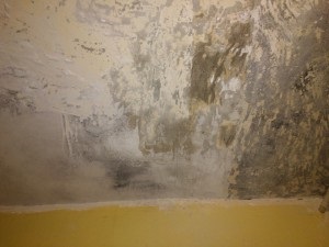 Întrebare privind repararea băii - mucegai, tencuială, vopsea veche, sfaturi pentru proprietari - sfaturi pentru constructori