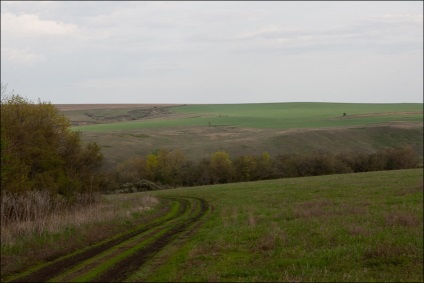 Munții Zhiguli, off-road