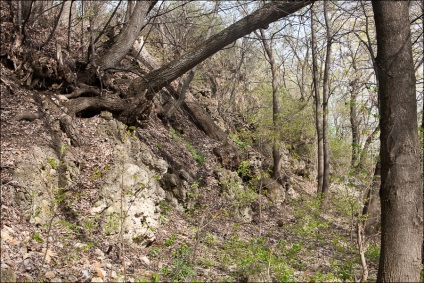 Munții Zhiguli, off-road