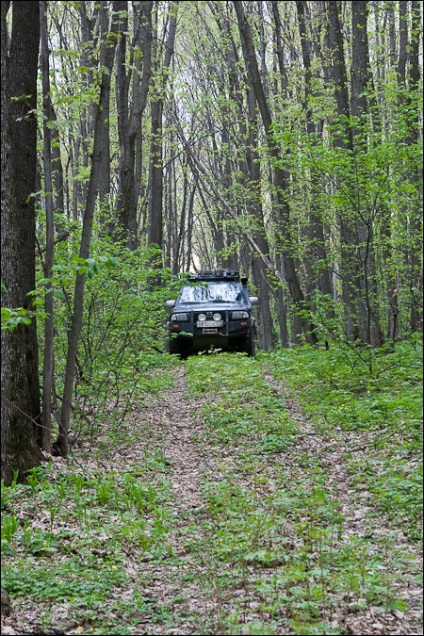 Munții Zhiguli, off-road