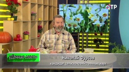 Reproducerea iernă a plantelor bulbose cu flori timpurii