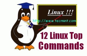 12 Comanda de top cu exemple pe linux