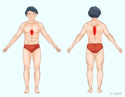 9 modalități de a determina cauza durerii la locul localizării sale - informații sănătoase