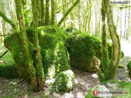 Abhazia, cascada Zhoekvar și cheiul, vechile ecartamente - 