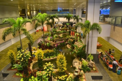 Aeroportul Singapore - cel mai inima aeroport din lume, viata blogului cu un vis!