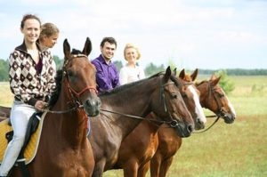 Caii pentru vacanța de la Harkov