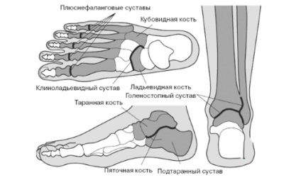 Бурсит великого пальця стопи (ноги) причини, симптоми, лікування