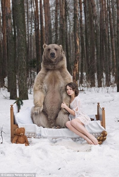 Chastushki cunoștință cu urșii