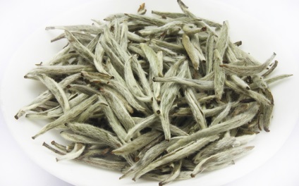Ceaiul bai hao yin zhen (ace de argint) - adevărul ceaiului