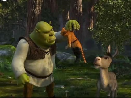 Citiți cartea Shrek-2 cu ilustrații de pe desen animat, autorul calculatoarelor online, pagina 10 de pe site