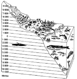 Ce este biosfera, din ce componente este schema de distribuție a organismelor vii în biosferă -